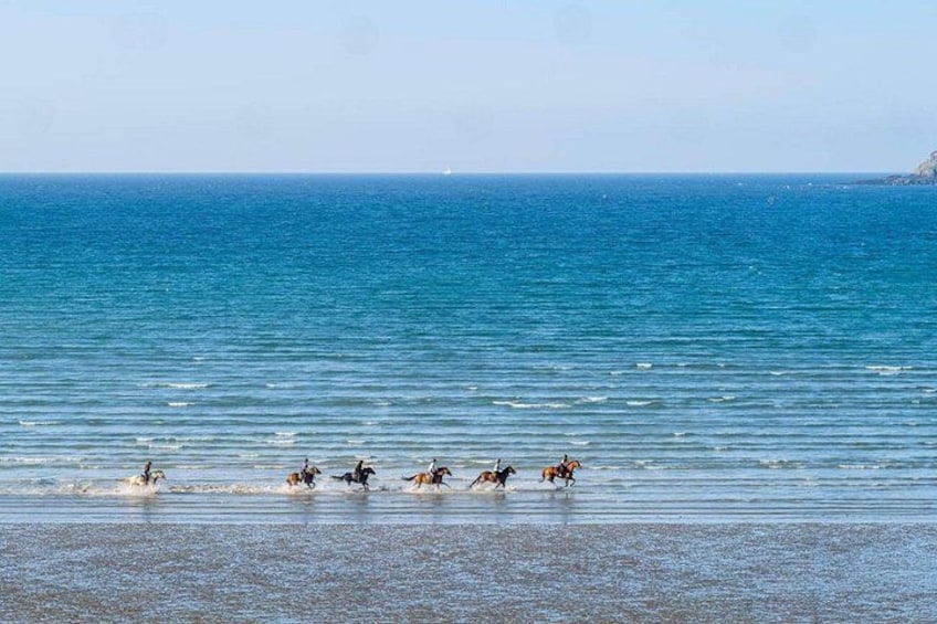 Casablanca Beach Horseback Riding Experience with Hotel Transfers 4