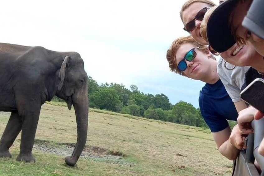 An elephant in a grassy field with people taking a photo. 3