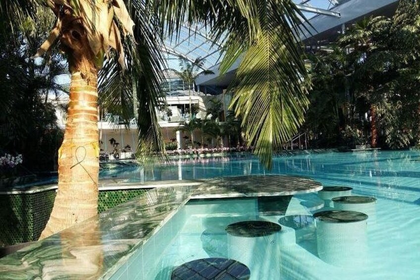 Una piscina interior con palmeras y techo de cristal. 2