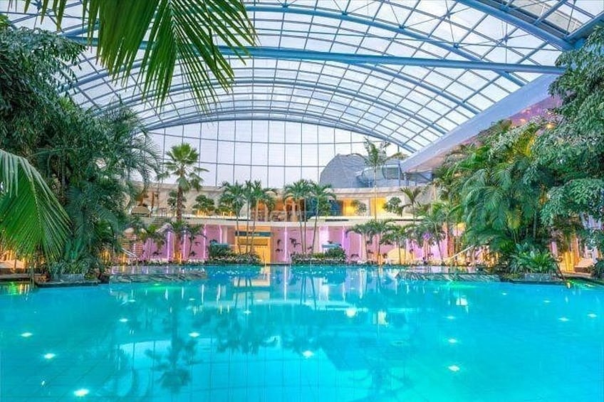 En inomhuspool med ett glastak, omgiven av tropiska växter och en speciell arkitektur. 5