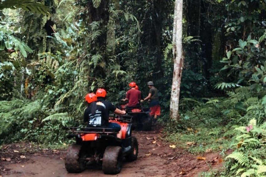 Bali Jatiluwih ATV Ride Jungle Tour 3