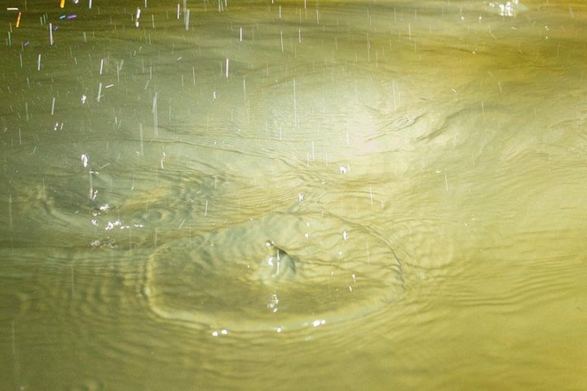 Fresh Water 2