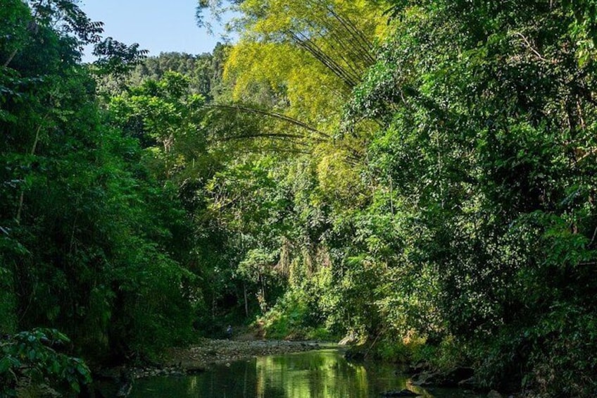 Cave, Waterfall and River Adventure in Charco Azul from San Juan 2