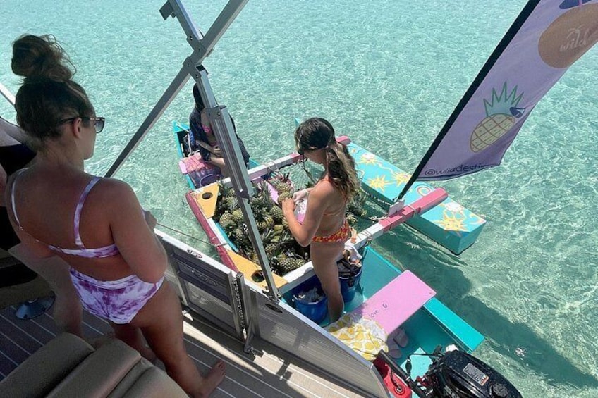Private Crab Island Pontoon Charter with Inflatables 4