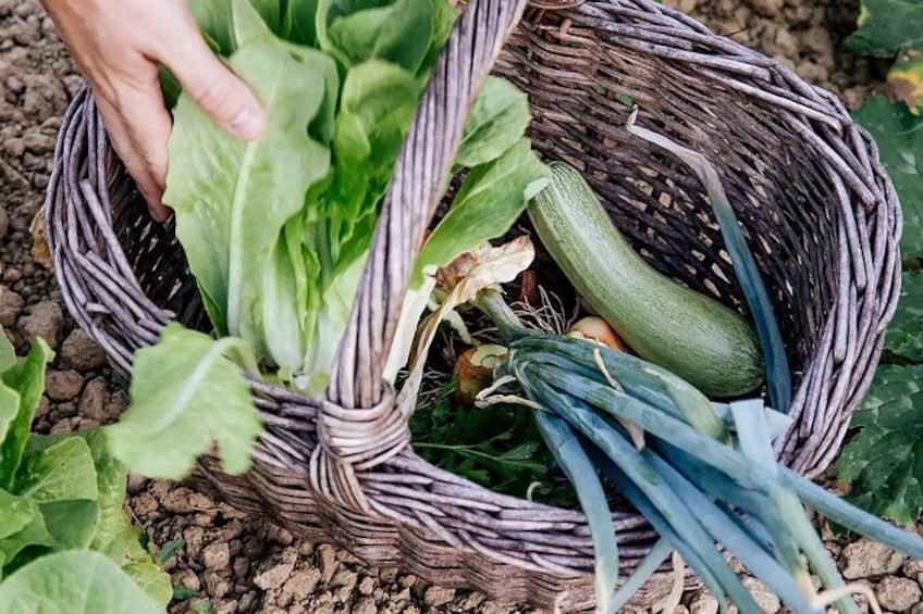 Una cesta de mimbre llena de verduras, como lechuga, calabacín y cebollas. 1