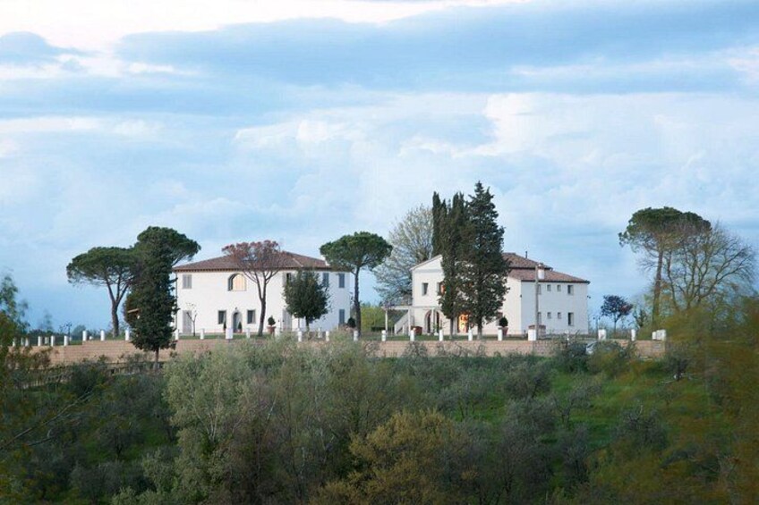 Farm To table Experience on an organic hilltop estate in Tuscany 2