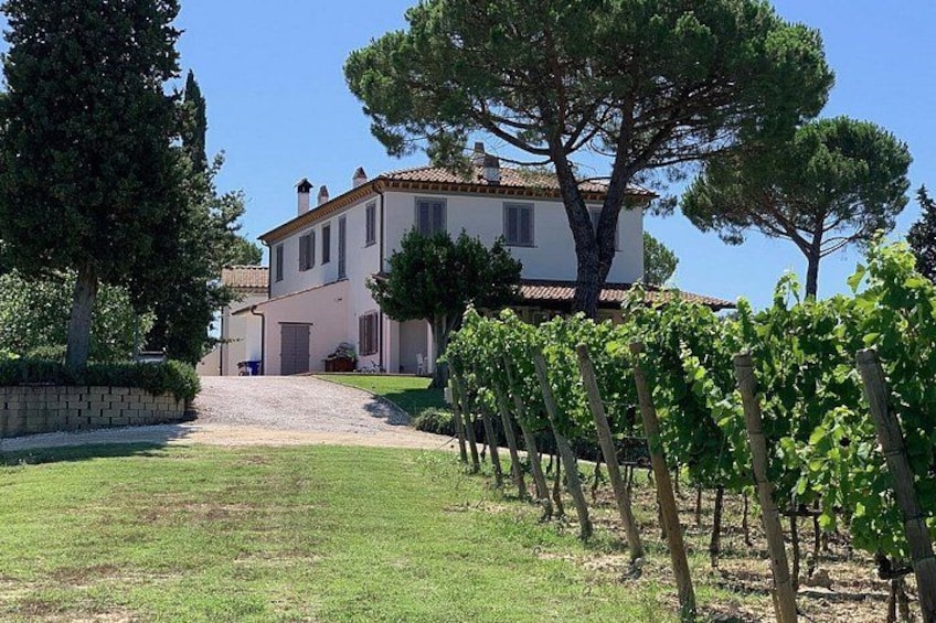 Farm To table Experience on an organic hilltop estate in Tuscany 4