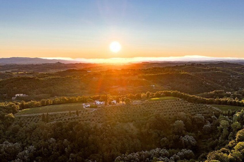 Farm To table Experience on an organic hilltop estate in Tuscany 2