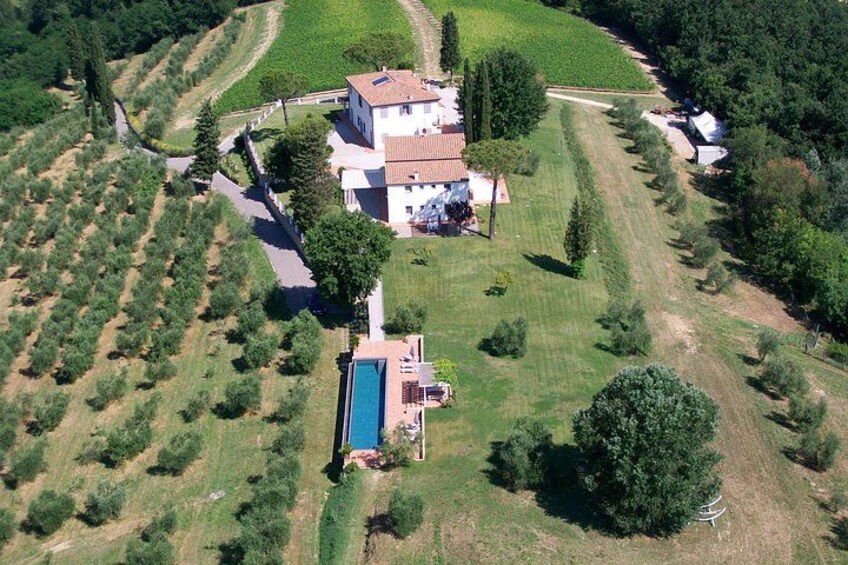 Farm To table Experience on an organic hilltop estate in Tuscany 4
