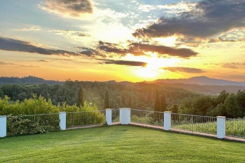 Farm To table Experience on an organic hilltop estate in Tuscany 2