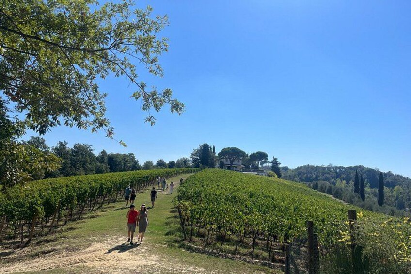 Farm To table Experience on an organic hilltop estate in Tuscany 2