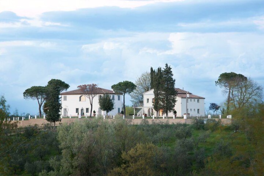Farm To table Experience on an organic hilltop estate in Tuscany 2