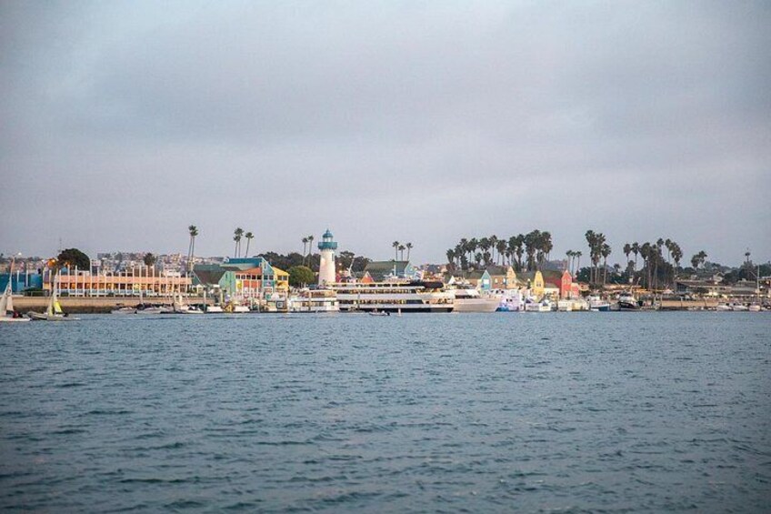 Luxury Shared E-Boat Cruise with Wine, Charcuterie & Sea Lions Spotting 5
