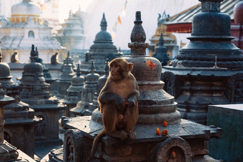 All Seven UNESCO Sightseeing Tour in Kathmandu Valley 2