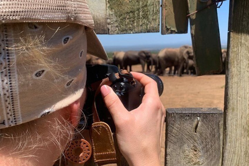 Addo Elephant National Park Private Tour 4