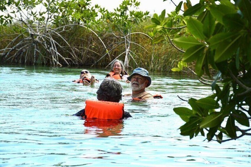 People in a mangrove swamp wearing life jackets. 2