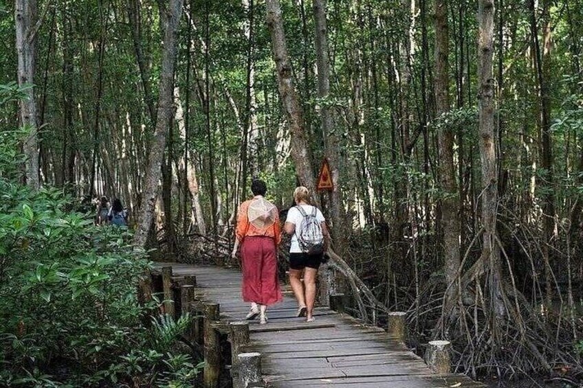 HCM: UNESCO Listed Can Gio Mangrove and Monkey Island trek 2