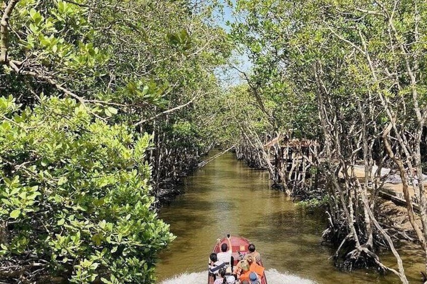 HCM: UNESCO Listed Can Gio Mangrove and Monkey Island trek 3