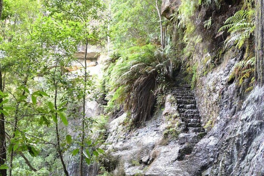 A stone staircase in a forested area with lush greenery and a rocky cliff. 5