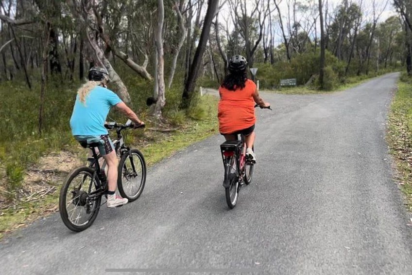 Self Guided Electric Bicycle Tour of Bundanoon 2