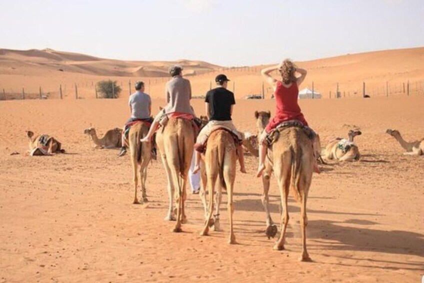 Camel Ride 2