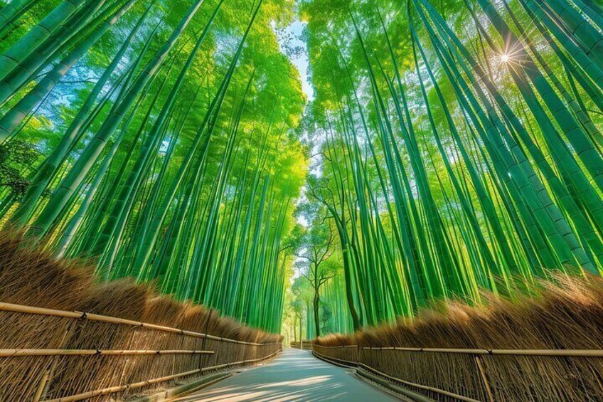 A bamboo forest pathway with tall green bamboo stalks and a clear sky. 1