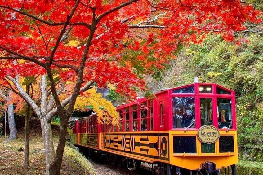 A red and yellow train with Japanese characters on the side, traveling through a forest with autumn-colored trees. 1