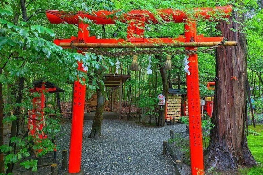 Kyoto Tour 3