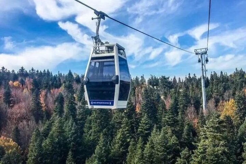 A cable car suspended over a forested area with autumn-colored trees. 3