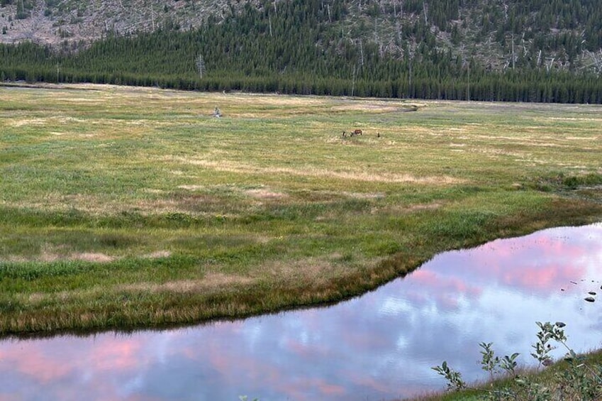 A grassy field with a small body of water reflecting the sky. 4