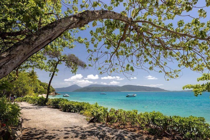A coastal path with trees, a clear blue sea, and boats in the distance. 2