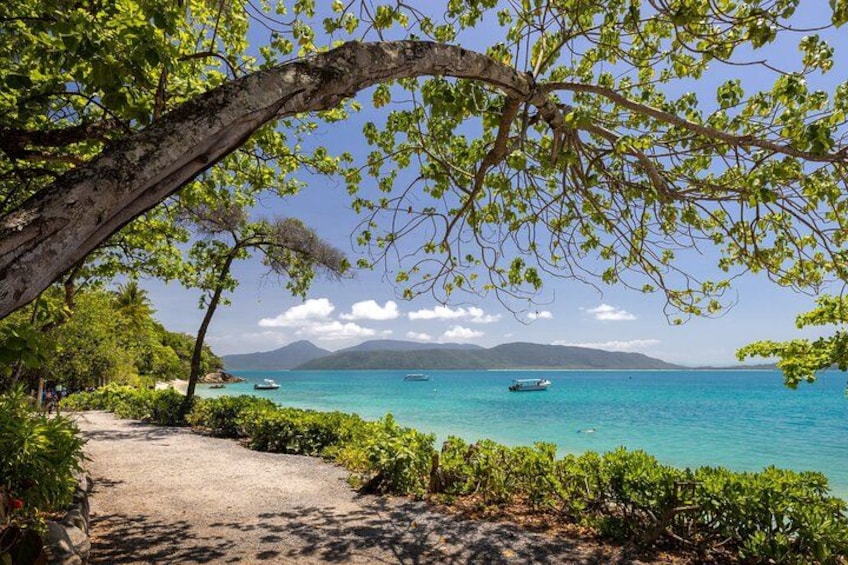 Afternoon Fitzroy Island Escape – Return Ferry Included 2