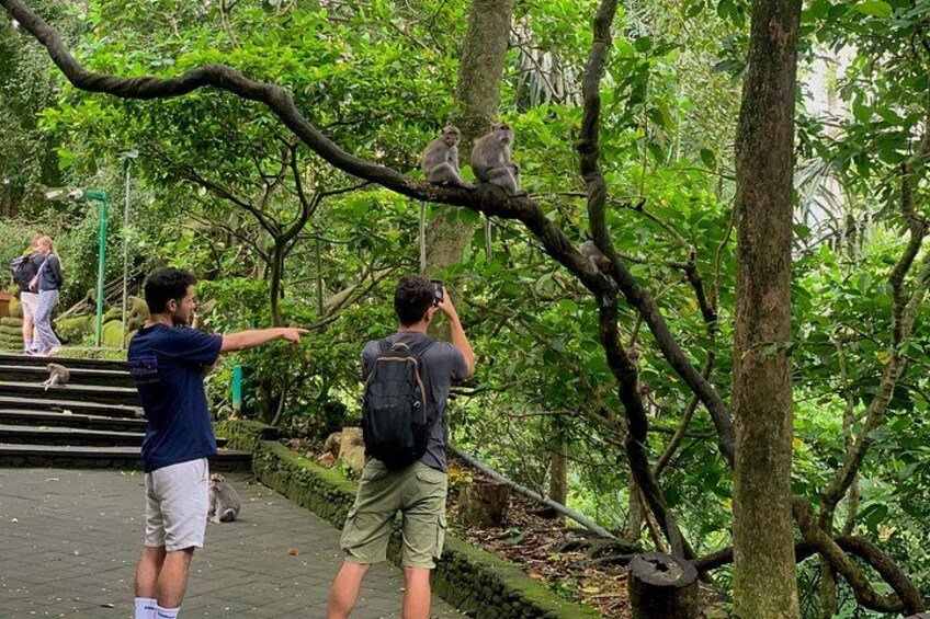 Discover Ubud's Sacred Monkey Forest: stroll through lush greenery, encounter playful long-tailed monkeys, and capture their adorable moments in their natural habitat. 5