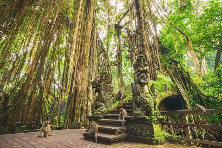 Discover The Best of Ubud: All-Inclusive and Private Guided Tour 2