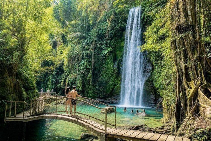 Discover The Best of Ubud: All-Inclusive and Private Guided Tour 4