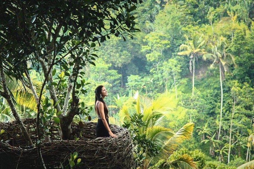 A person standing on a tree branch in a lush, green forest. 4