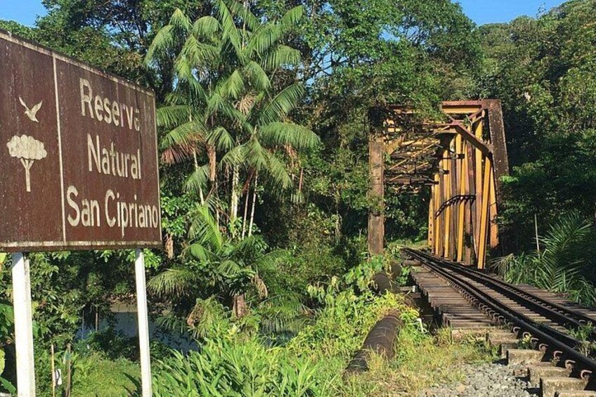 San Cipriano (Jungle, Tubing and Waterfalls) 4
