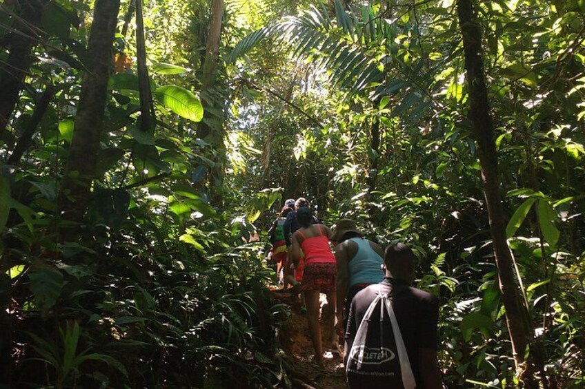 San Cipriano (Jungle, Tubing and Waterfalls) 3