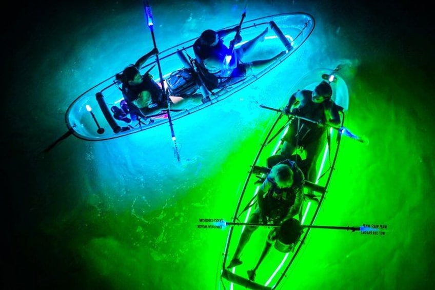 Due kayak su una distesa d'acqua verdognola. 1