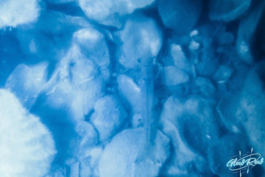 Primer plano de hielo con un ligero tono azul. 2