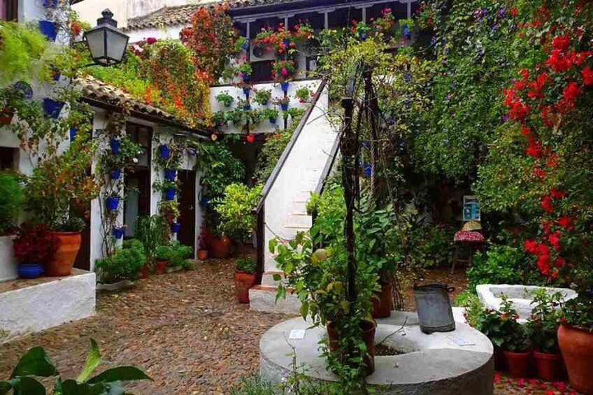 En gårdsplads med trappe, plantekasser og mange blomster. 2