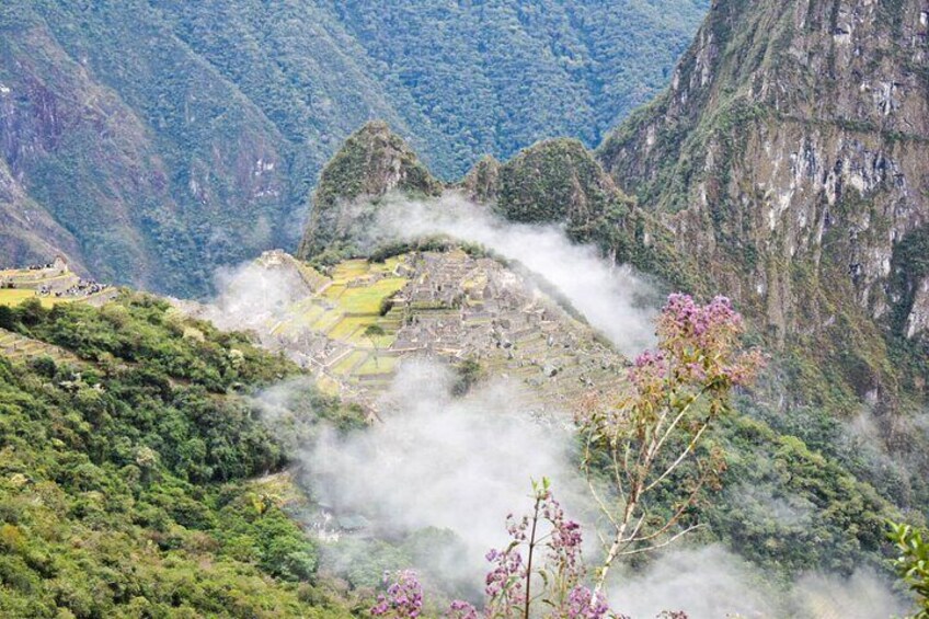 A mountainous landscape with terraced fields and a prominent peak. 5
