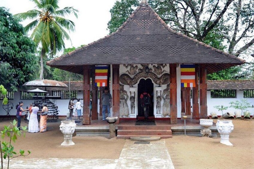 9 Days Sri Lanka Southern Tour. Driver, Vehicle B/B Accomodations 5