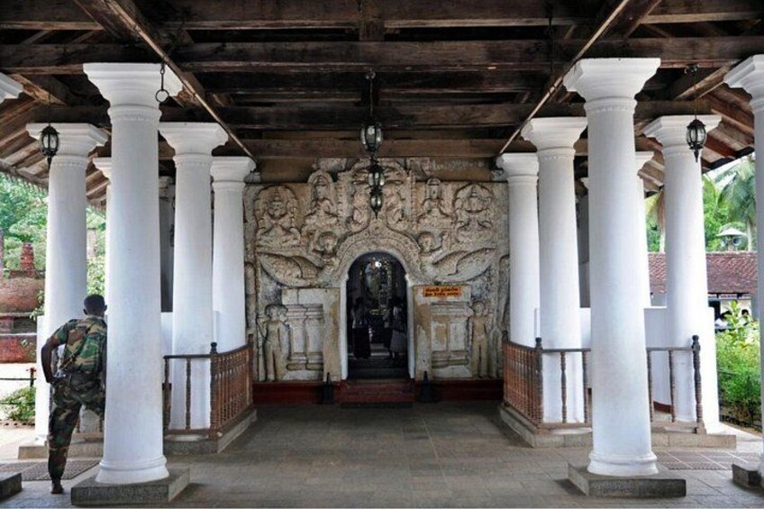 9 Days Sri Lanka Southern Tour. Driver, Vehicle B/B Accomodations 4
