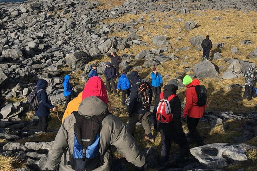 Private Tour in Cliffs of Moher and Wild Atlantic Way 3