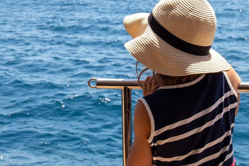 A person wearing a straw hat and a striped sleeveless top, looking out at the ocean. 4