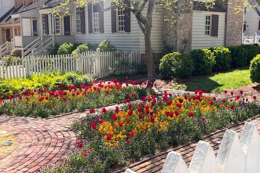 Exclusive Private Colonial Williamsburg Walking Tour by a Local 2