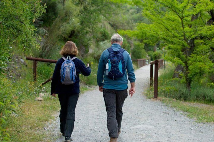 Sierra Nevada Tram Trail A Historical and Natural Route 3