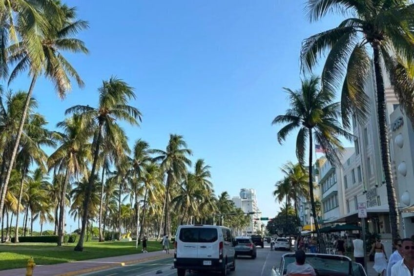 See it All in One Tour!! 6hr VIP Full Experience of Miami!! 3