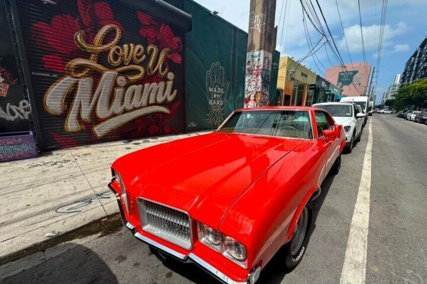 See it All in One Tour!! 6hr VIP Full Experience of Miami!! 1